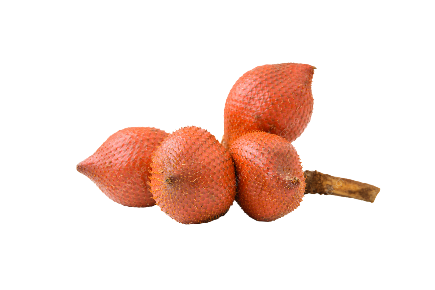 Snake Fruit - Salacca