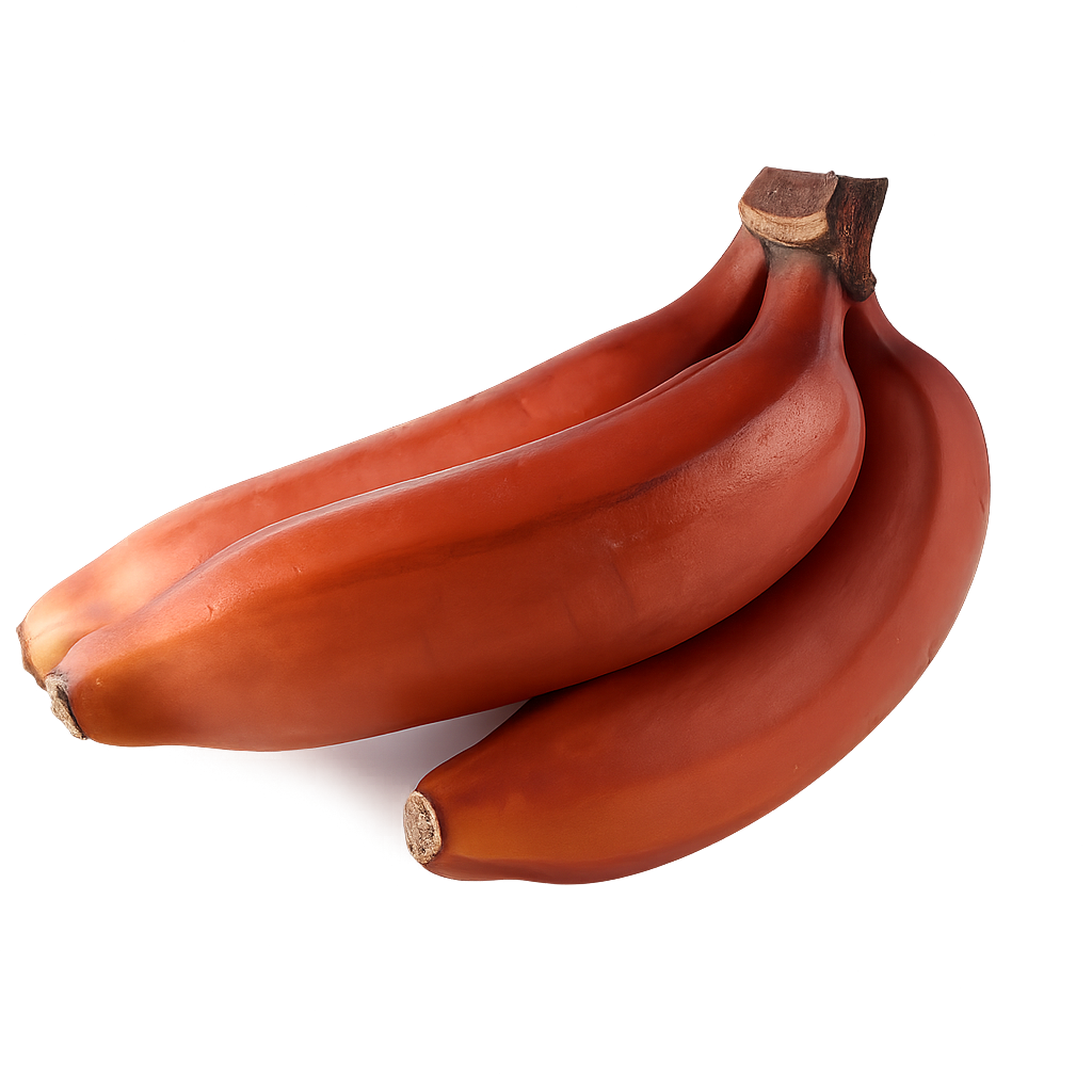 Banana - Red Varieties