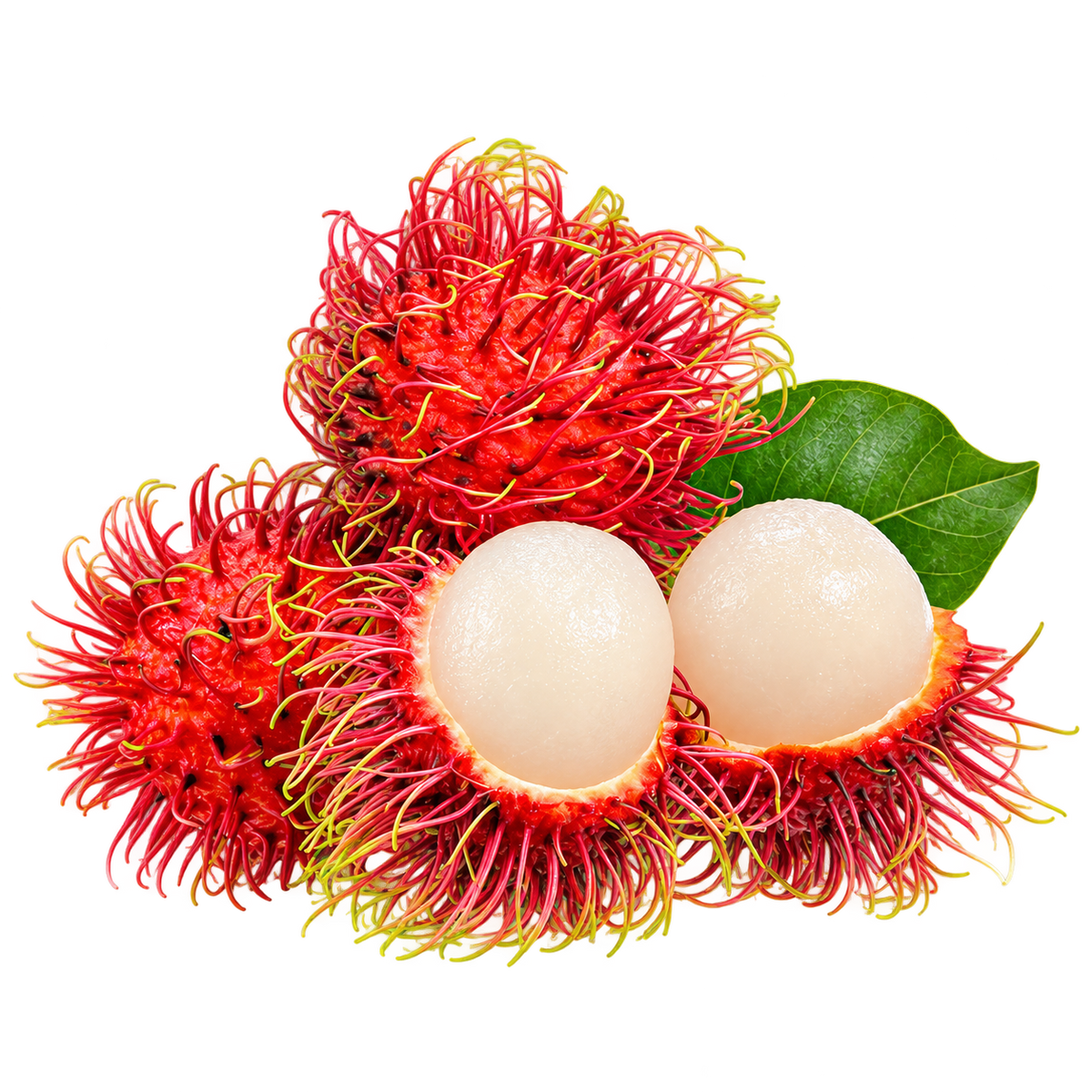Rambutan