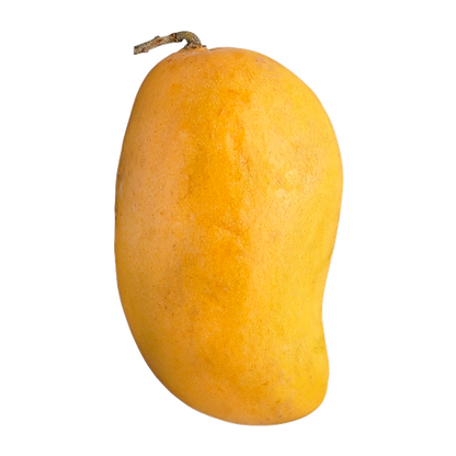 Signature Mango Box