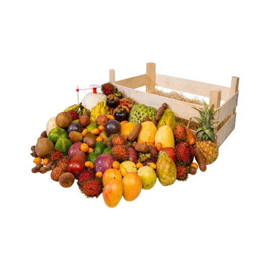 Abundance Box - Large