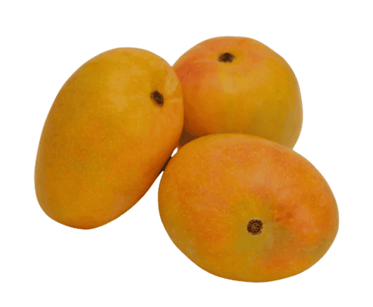 Variety Box - Small