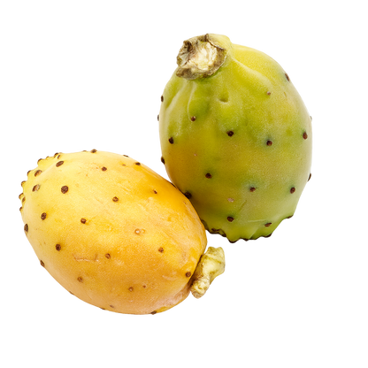Cactus Fig / Prickly Pear