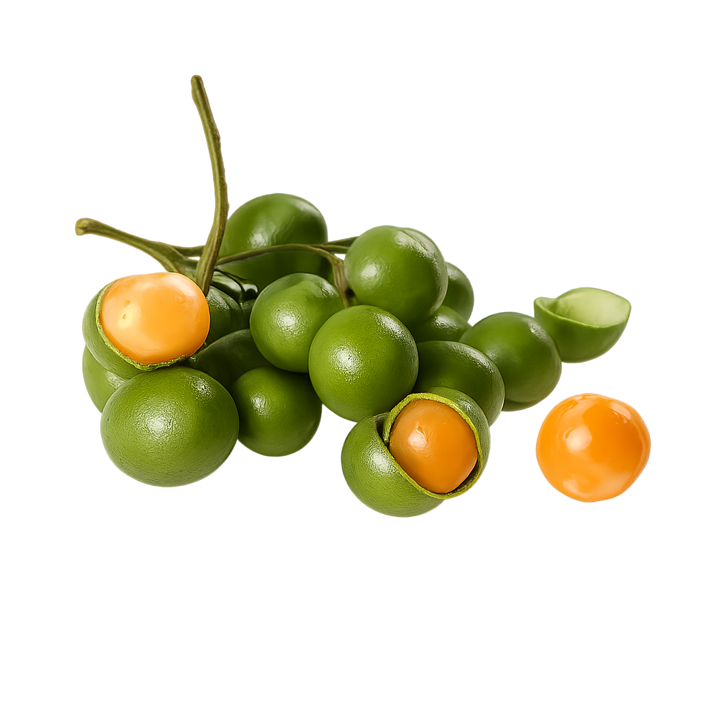 Guinep