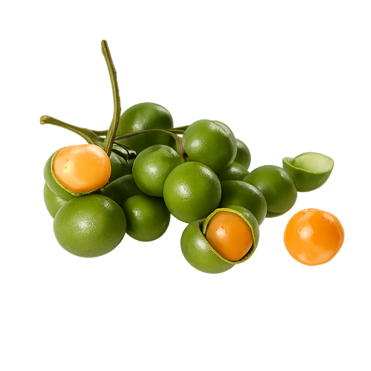 Guinep