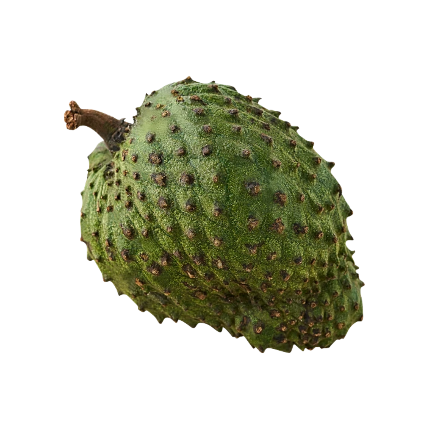 Soursop