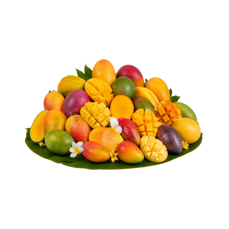 Signature Mango Box