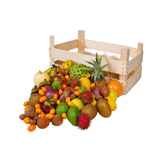 Abundance Box - Medium