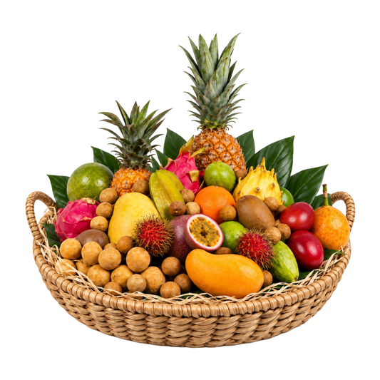 Signature Variety Box - Medium