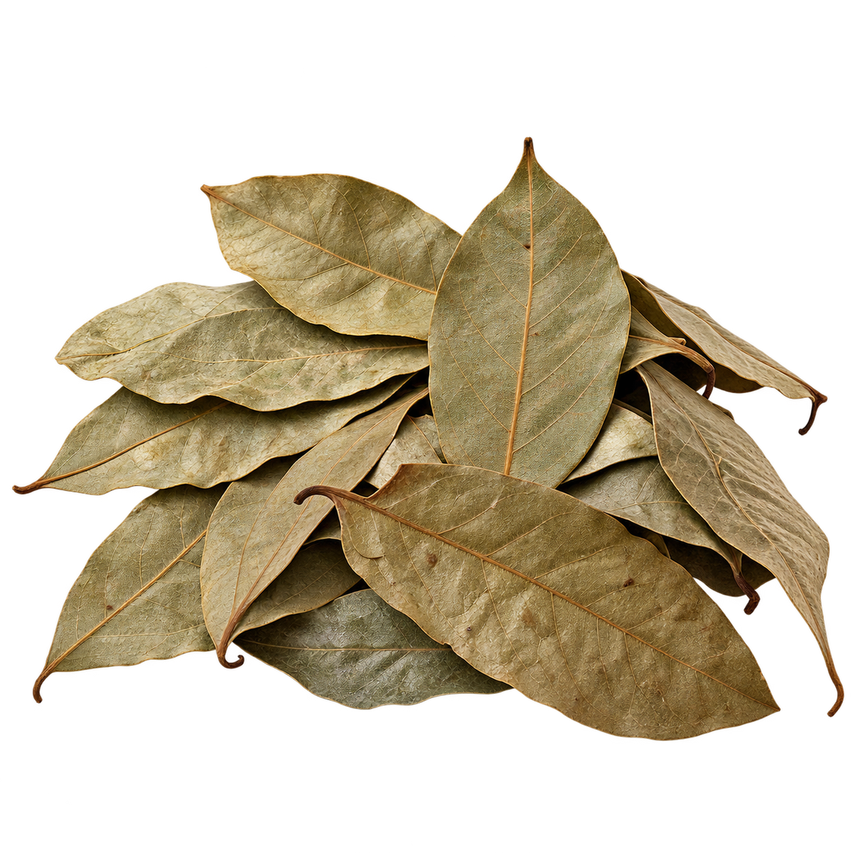 Soursop Leaves