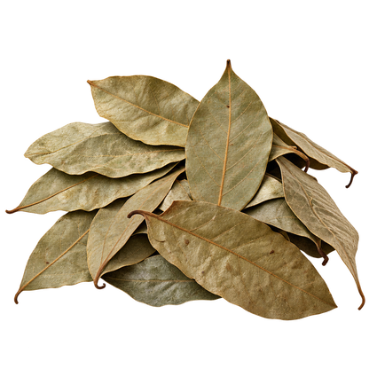 Soursop Leaves
