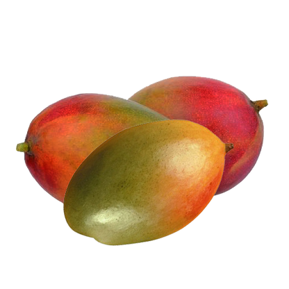 Signature Mango Box