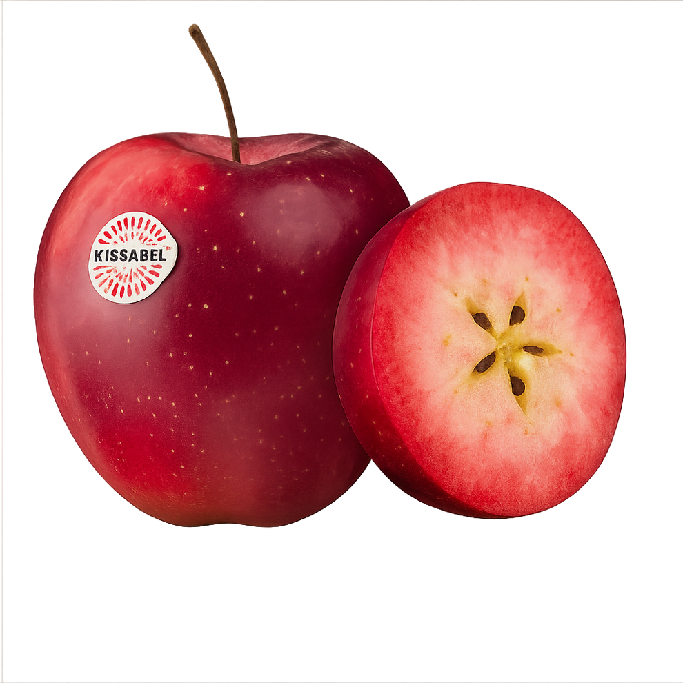 Red Flesh Apple – The Fifth Orchard