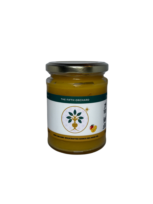 Organic Wildcrafted Sea Moss Gel - Mango
