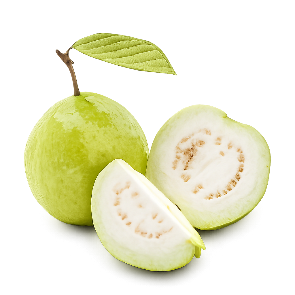 Guava - White (Egyptian)