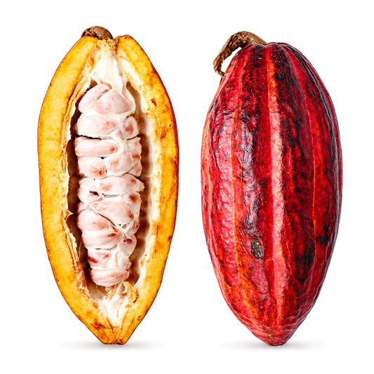 Cacao Fruit - Ecuadorian
