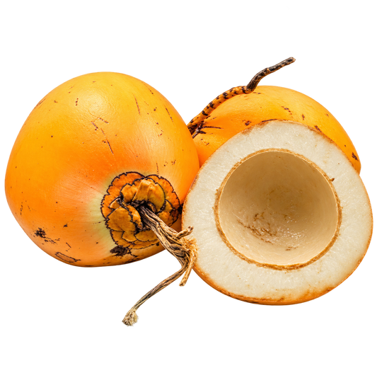 Coconut - King Coconut / Red Dwarf