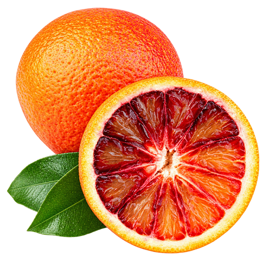 Orange - Blood Orange / Ippolito