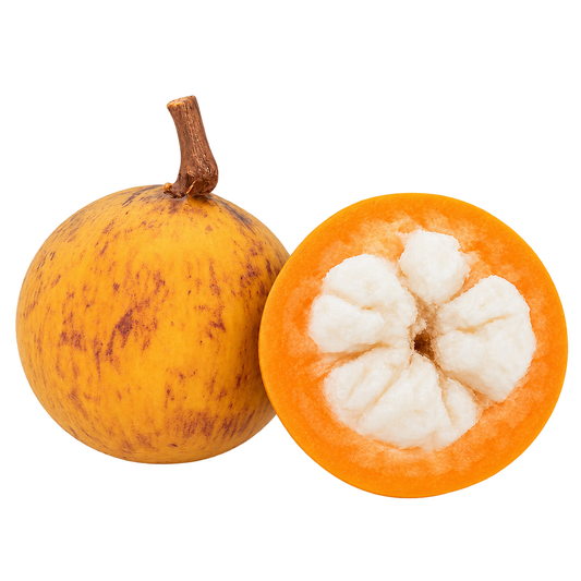 Santol / Wild Mangosteen