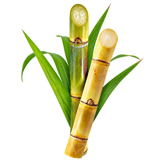 Sugarcane