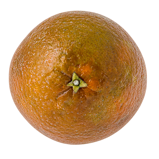 Orange - Chocolate Orange / Navel