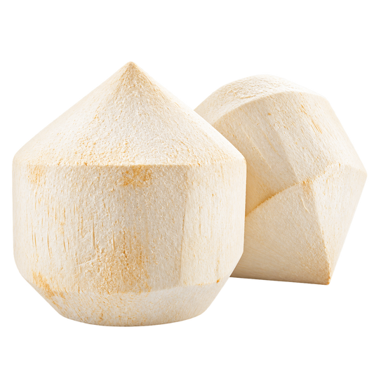 Coconut - Young / Shaven