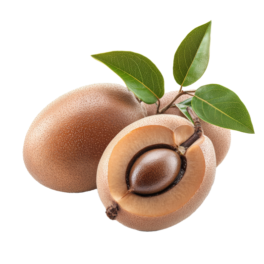 Sapodilla