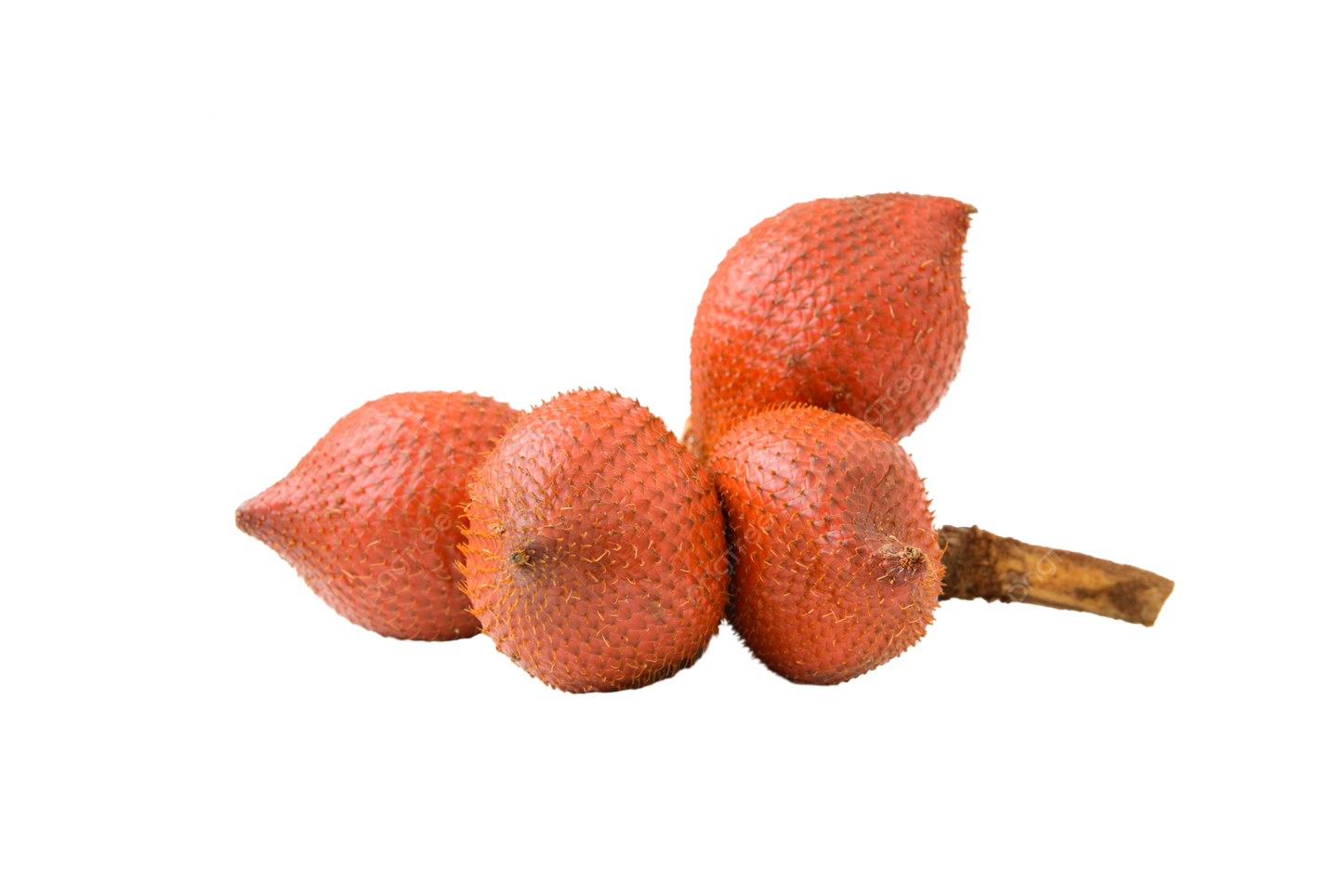 Variety Box - Small